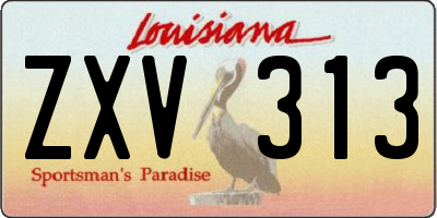 LA license plate ZXV313