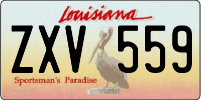 LA license plate ZXV559