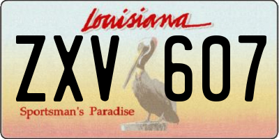 LA license plate ZXV607