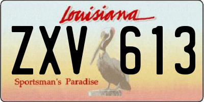 LA license plate ZXV613
