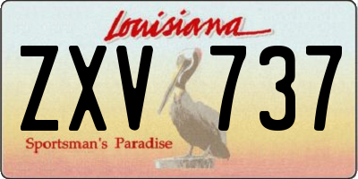 LA license plate ZXV737