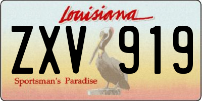 LA license plate ZXV919
