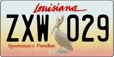 LA license plate ZXW029