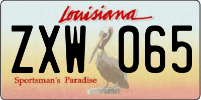 LA license plate ZXW065