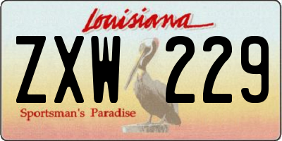 LA license plate ZXW229