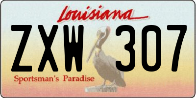 LA license plate ZXW307