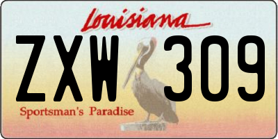 LA license plate ZXW309