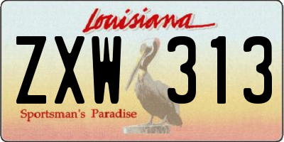 LA license plate ZXW313