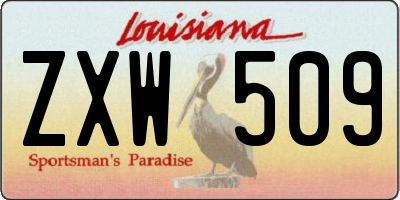 LA license plate ZXW509