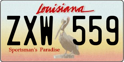 LA license plate ZXW559