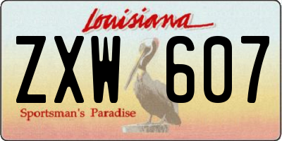 LA license plate ZXW607