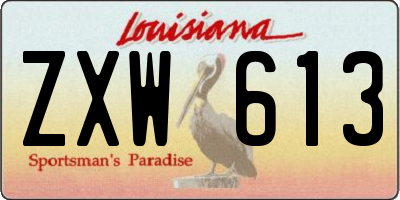 LA license plate ZXW613