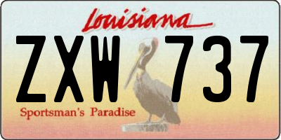 LA license plate ZXW737