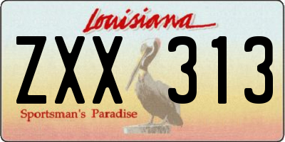 LA license plate ZXX313