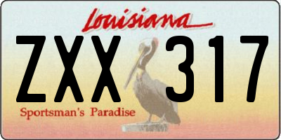 LA license plate ZXX317