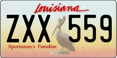 LA license plate ZXX559