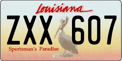 LA license plate ZXX607