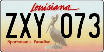 LA license plate ZXY073