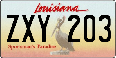 LA license plate ZXY203