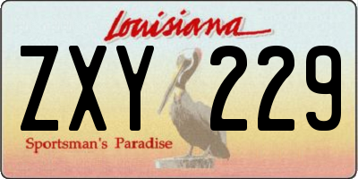 LA license plate ZXY229