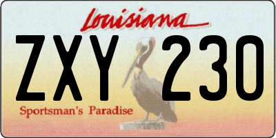 LA license plate ZXY230
