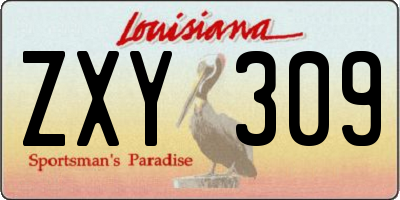 LA license plate ZXY309