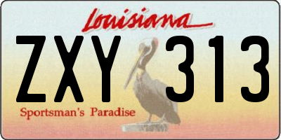 LA license plate ZXY313