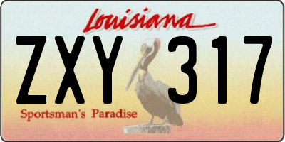 LA license plate ZXY317