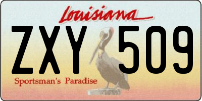 LA license plate ZXY509
