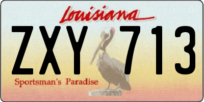 LA license plate ZXY713