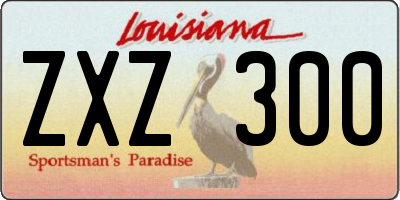 LA license plate ZXZ300