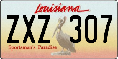 LA license plate ZXZ307