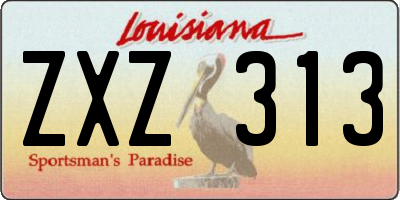 LA license plate ZXZ313