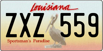 LA license plate ZXZ559