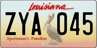 LA license plate ZYA045