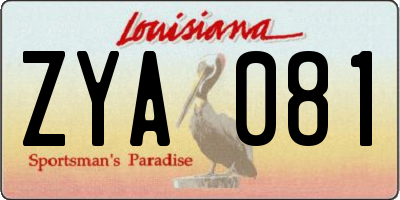 LA license plate ZYA081