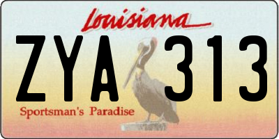 LA license plate ZYA313