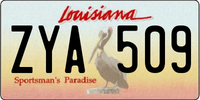 LA license plate ZYA509