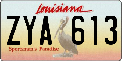 LA license plate ZYA613