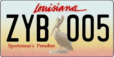 LA license plate ZYB005