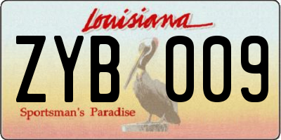 LA license plate ZYB009