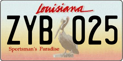 LA license plate ZYB025