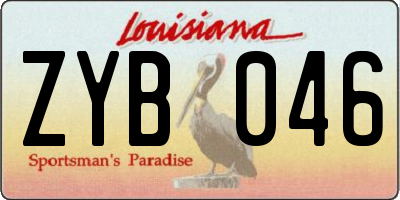 LA license plate ZYB046