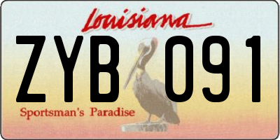 LA license plate ZYB091