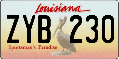 LA license plate ZYB230
