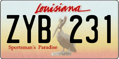 LA license plate ZYB231