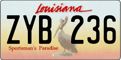 LA license plate ZYB236
