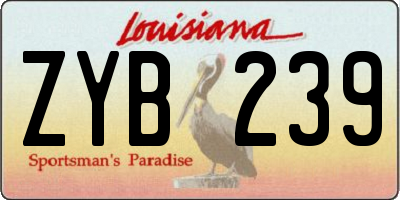 LA license plate ZYB239