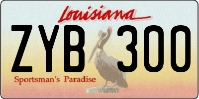 LA license plate ZYB300