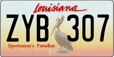 LA license plate ZYB307